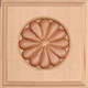 R170 photo