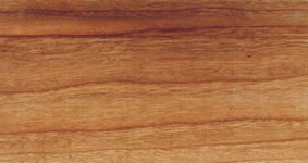 W375C photo